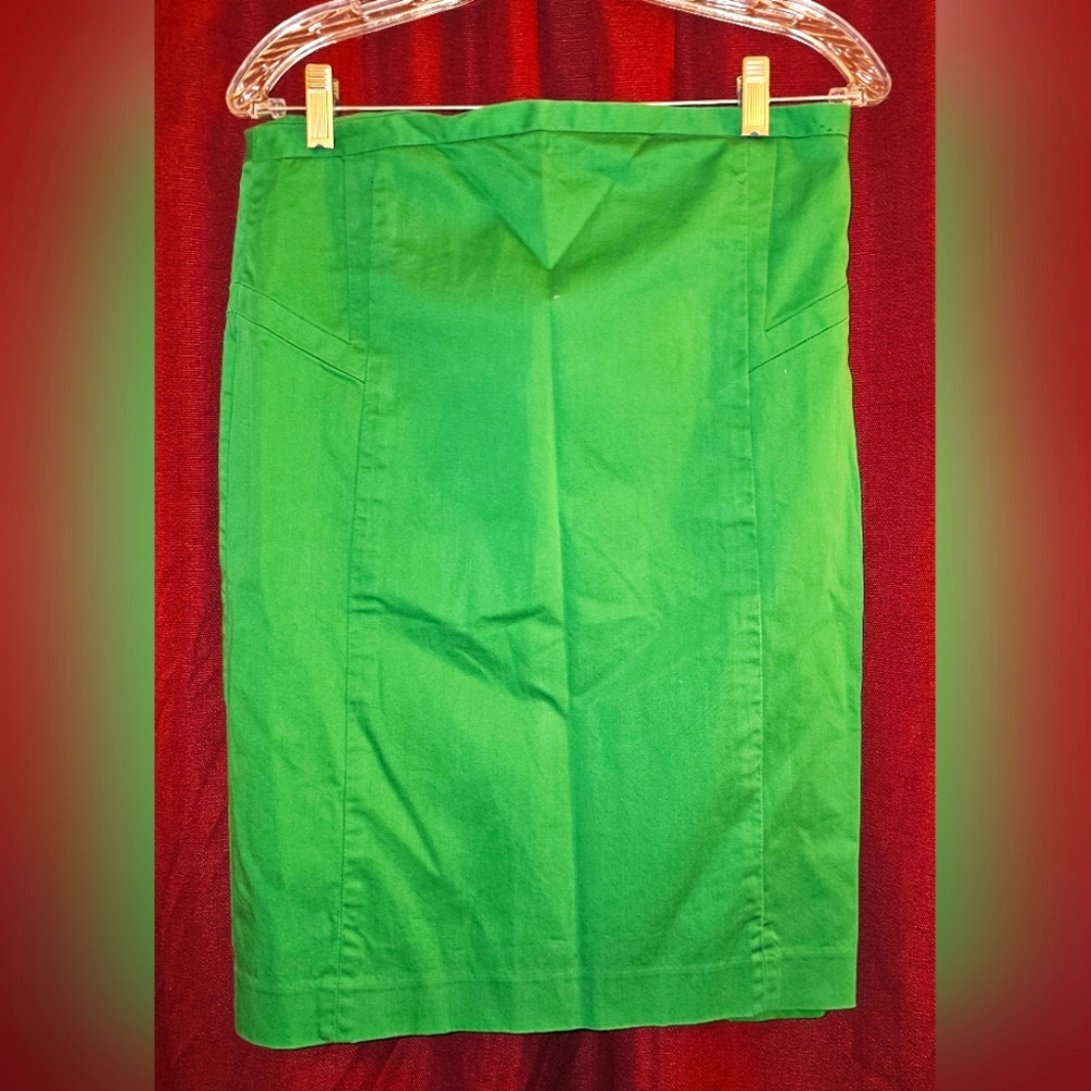 Express Design Studio Pencil Skirt
